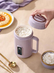 Portable kettle, multifunctional kettle, 1L electric kettle, dormitory, home, travel, outdoor constant temperature kettle