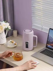 Portable kettle, multifunctional kettle, 1L electric kettle, dormitory, home, travel, outdoor constant temperature kettle